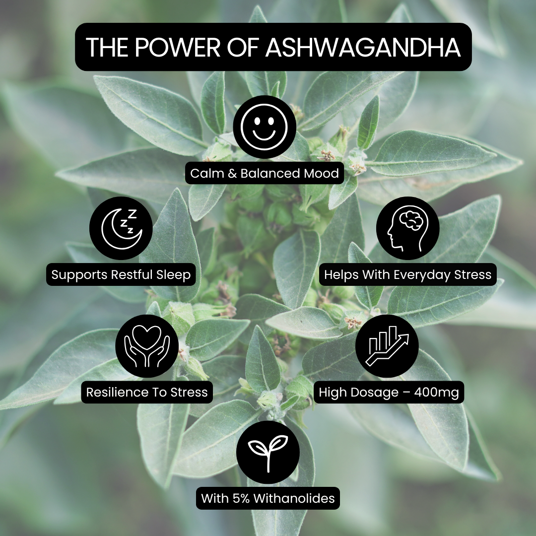 GlowNow™ Collagen+ with Ashwagandha